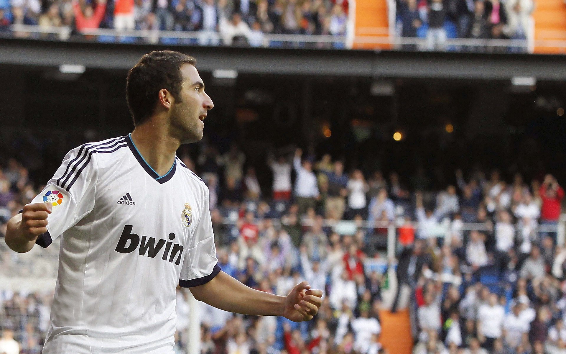 运动饮食计划设计