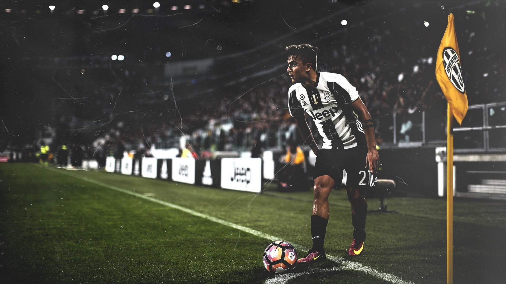 世界登山青年导师生态修复项目第44批结项结果公布，世界登山大师